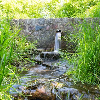 Quellwasser fließt aus einem Rohr aus einer gemauerten Feldsteinwand einen kleinen Wiesenbach herunter.