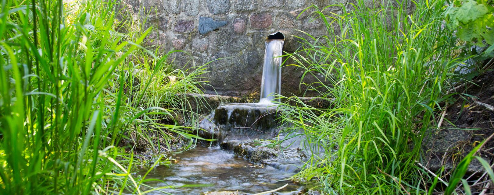 Quellwasser fließt aus einem Rohr aus einer gemauerten Feldsteinwand einen kleinen Wiesenbach herunter.