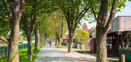 gepflasteter Weg zwischen Bäumen. ein Allee. rechts kleine Grundstücke mit kleinen Häusern, links Wiese