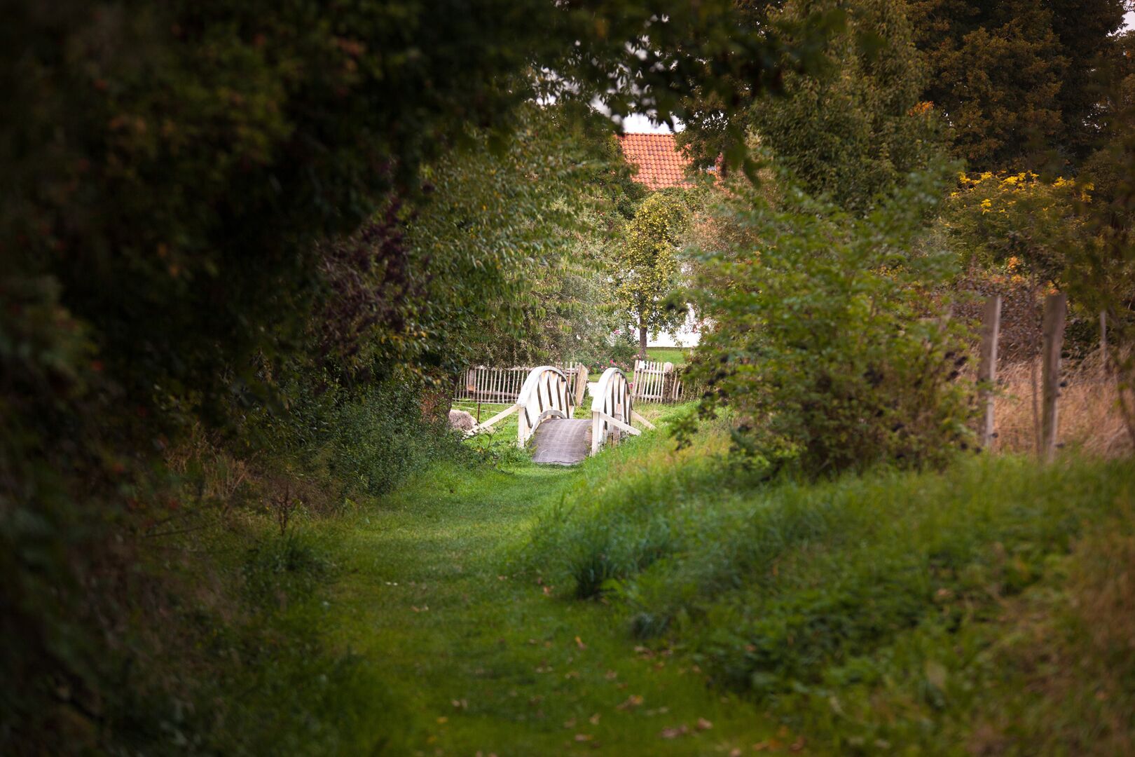Grüner Weg zwischen Anhöhen mit Büschen über tunnelt. Am Ende eine kleine weiße geschwungene Brücke.
