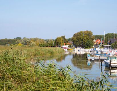 Kleiner Flusshafen mit Sportbooten. links großes Schilffeld