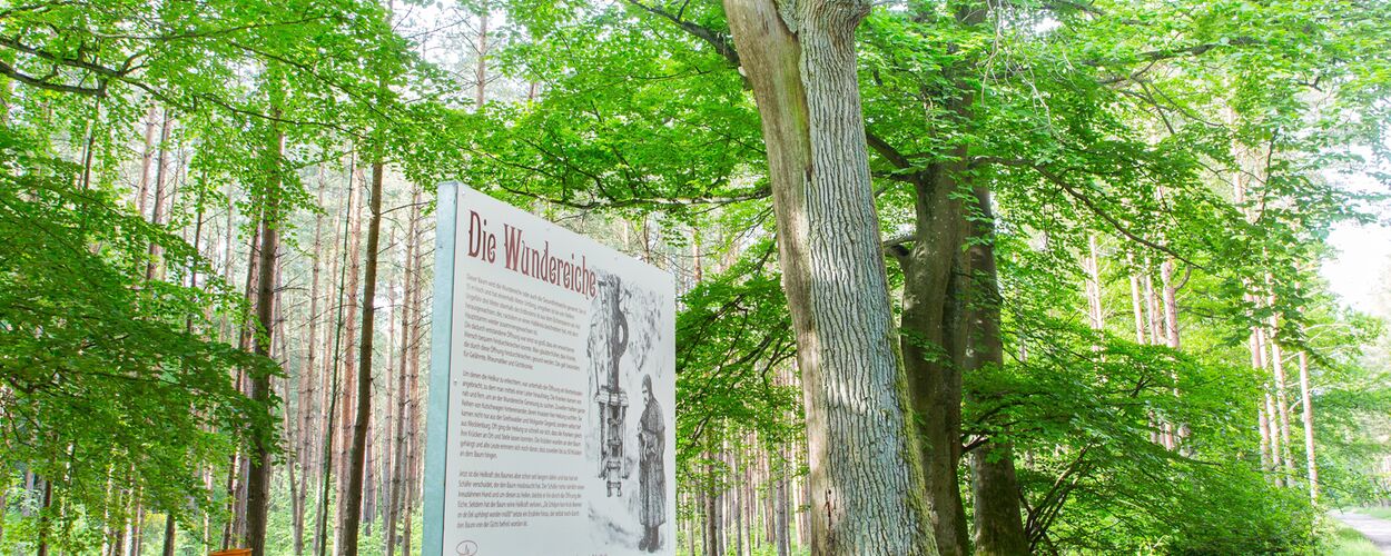 im Vordergrund ein Schild mit der Sage zur Wundereiche, dahinter eine Sitzgruppe und ein oranger Mülleimer, in einem Wald.