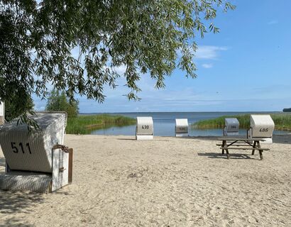 Naturstrand am Bodden mit Strandsand, Strandkörben, Schilf im Wasser und einem Weidenast oben links.