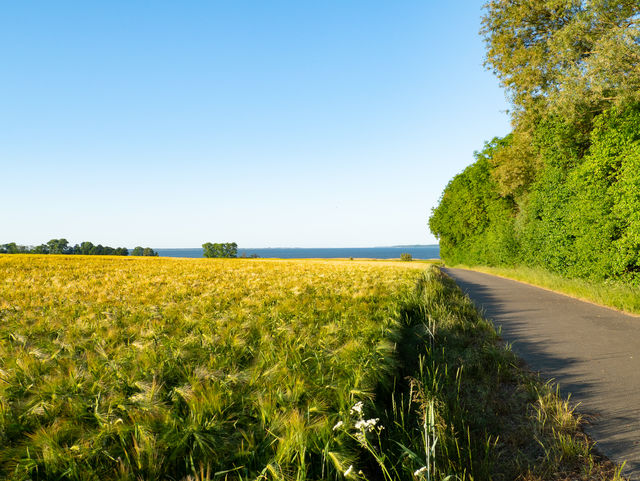 Von der Barthe zum Bodden