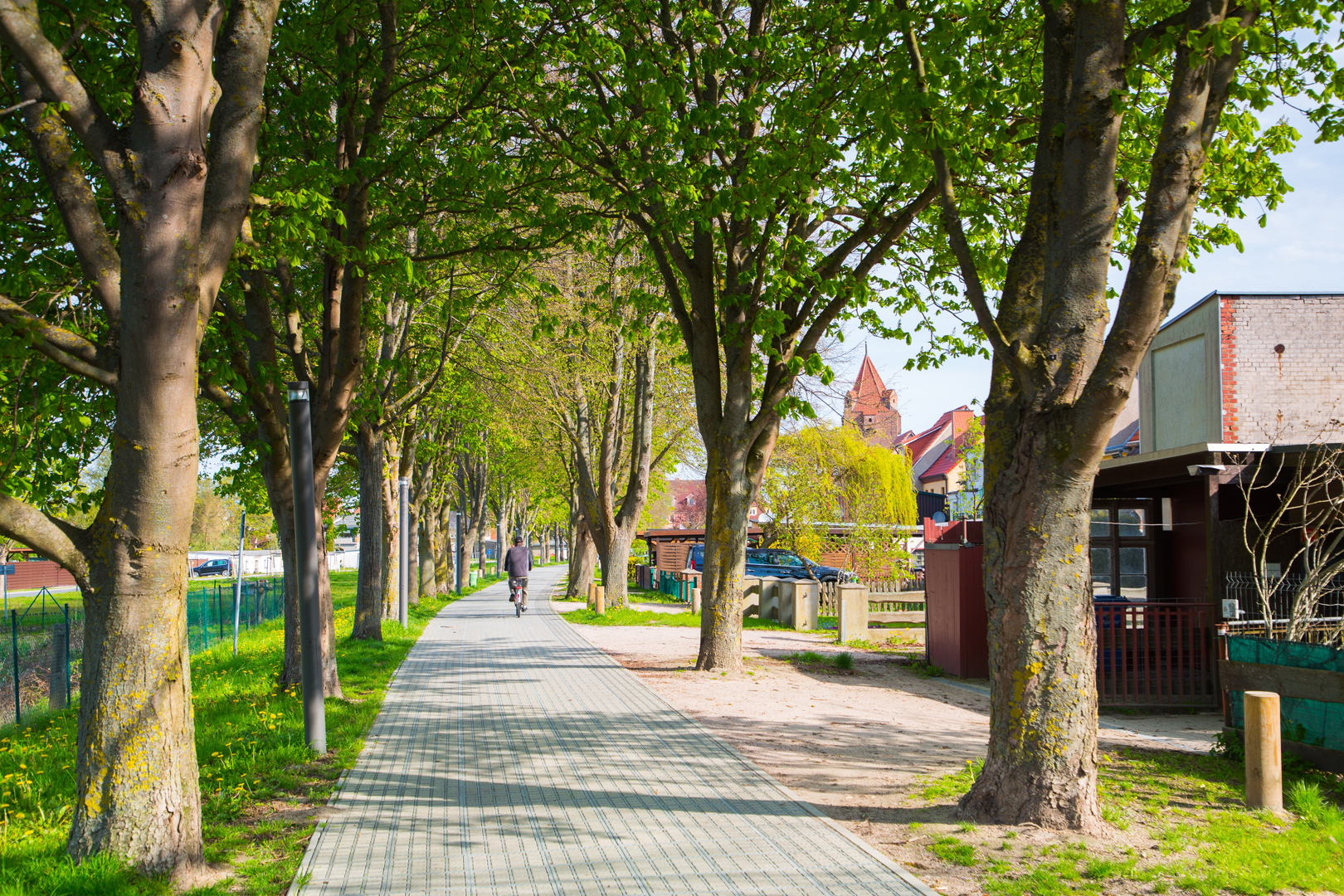 gepflasteter Weg zwischen Bäumen. ein Allee. rechts kleine Grundstücke mit kleinen Häusern, links Wiese