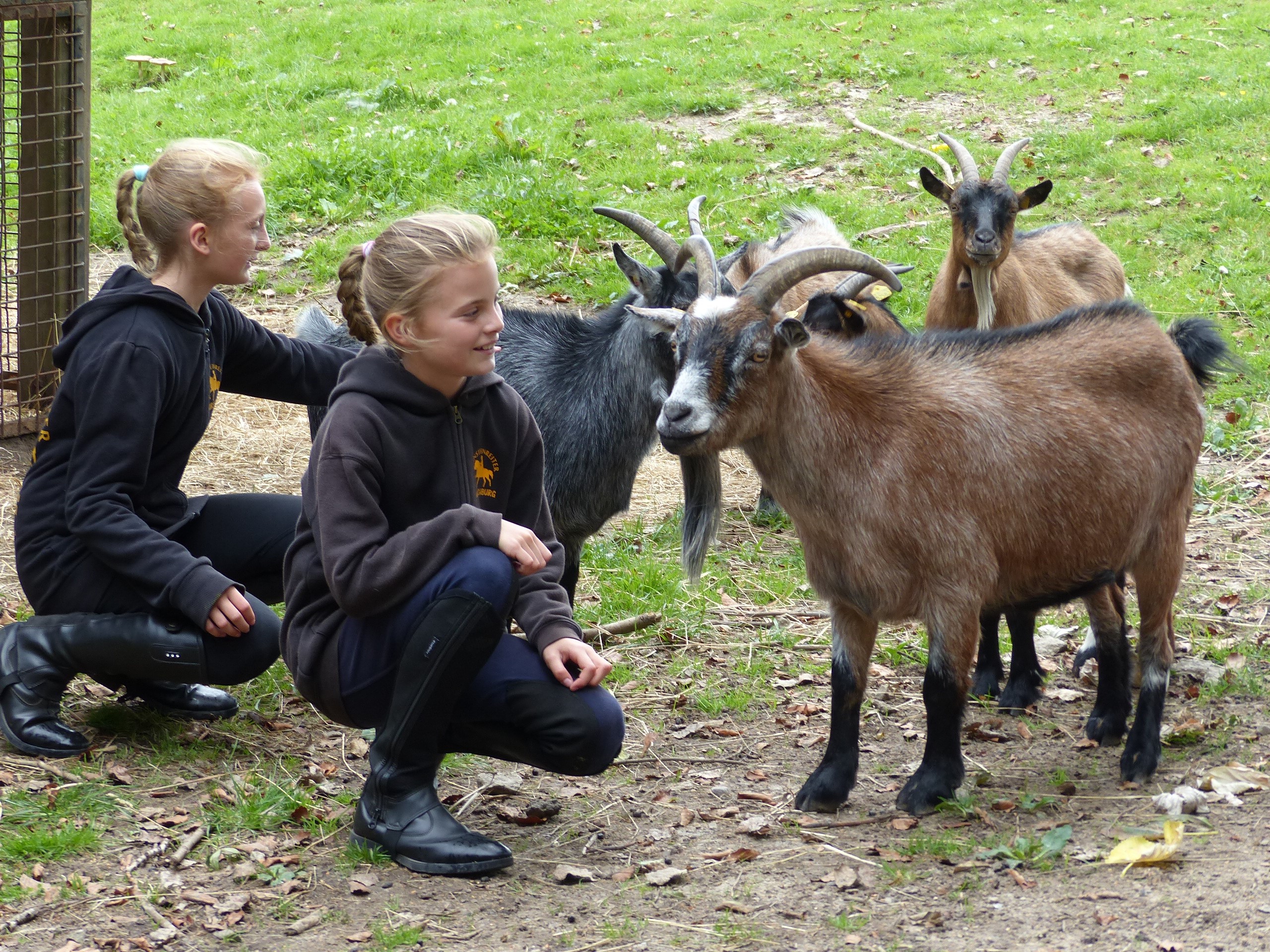 Stallführung vor der Pferdshow bei den Bernsteinreitern Hirschburg
