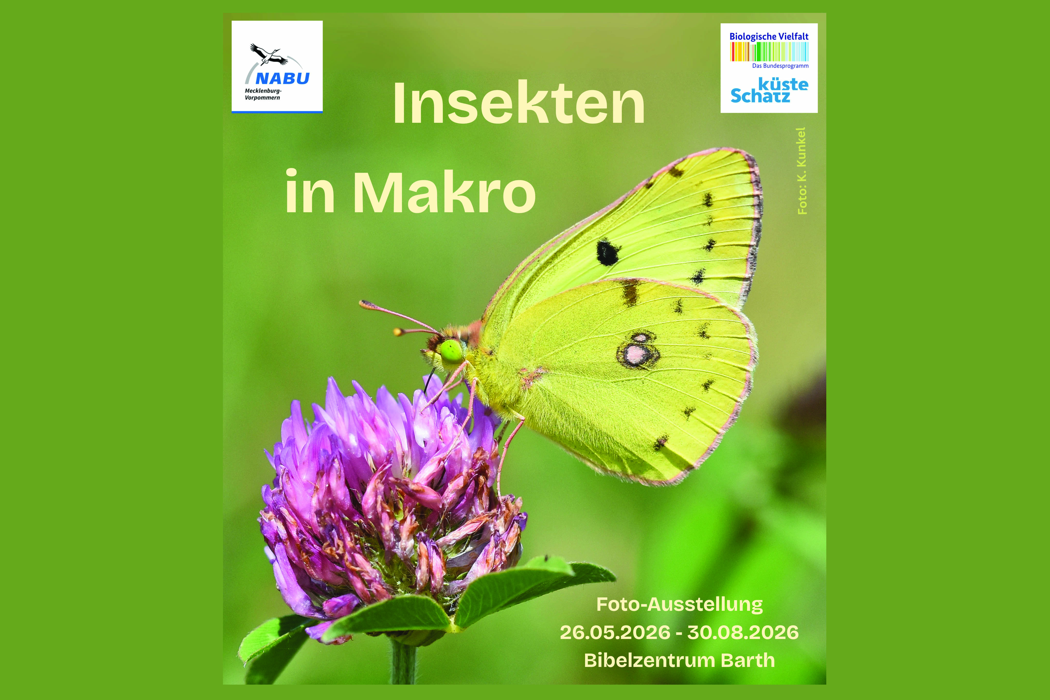 Insekten in Makro - Foto-Ausstellung im Bibelzentrum Barth